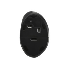 Kensington Pro Fit Ergo Wireless Mouse - Optimal Comfort & Precision in Black
